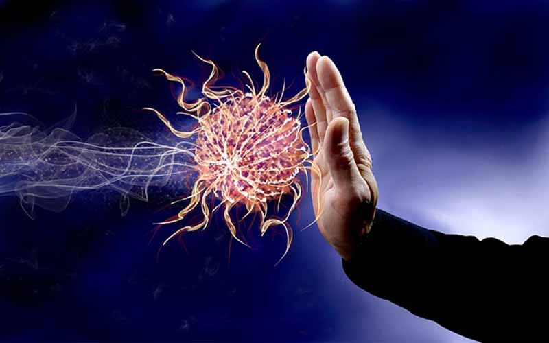 Immunity keeps virus away from our system