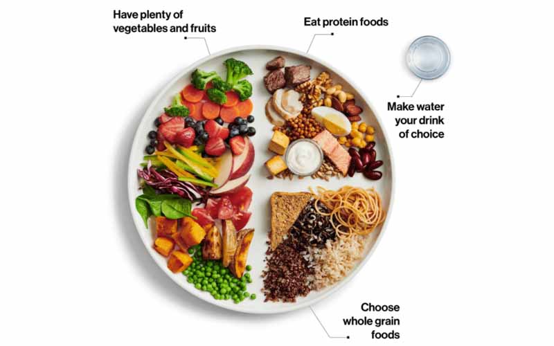 An illustration of a healthy nutritionally balanced plate