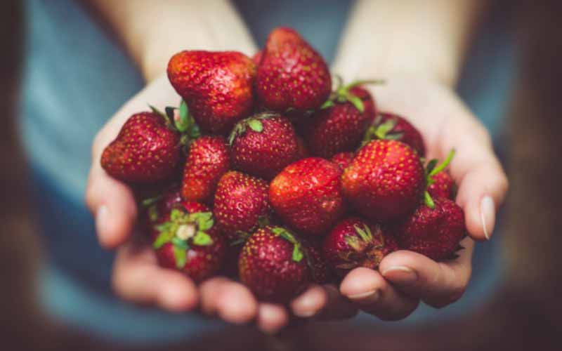 Handful of strawberries