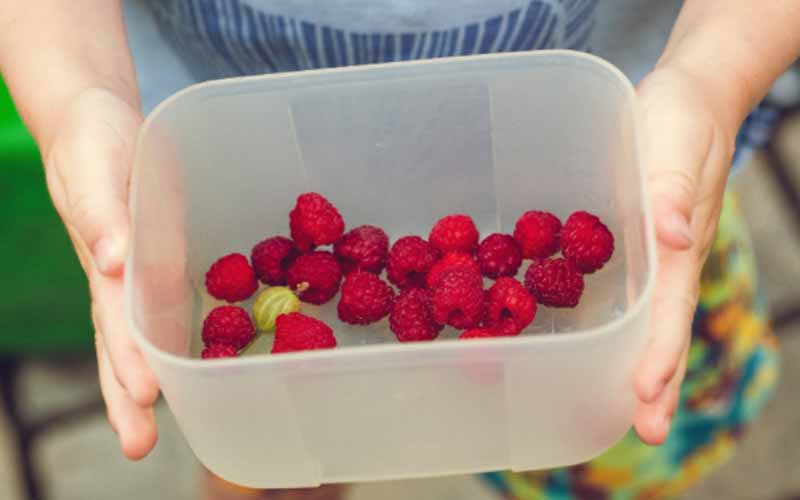 Child holding a bowl of berries