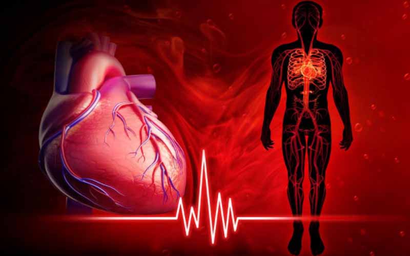 Blood circulation related diseases